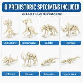 1PC 3D Printed Articulated Prehistoric Skeleton Figure, Bone-Like Display Model, Movable Desk Decor Collectible (Option: 1PC-PLA-Ichthyosaur)