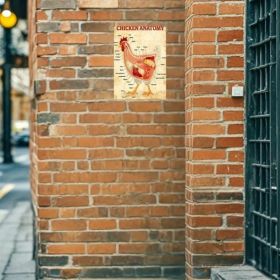 CIFbuy 1pc Classic Chicken Anatomy Metal Tin Sign 8x12 Inch, Inch, Vintage Retro Unframed Iron Wall Art, Oblong Horizontal Plaque For Home Ba IkT (Option: Defaulttitle)
